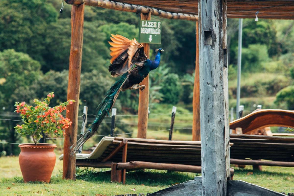 Hotel Fazenda Pedra Do Rodeadouro Bonito  Εξωτερικό φωτογραφία